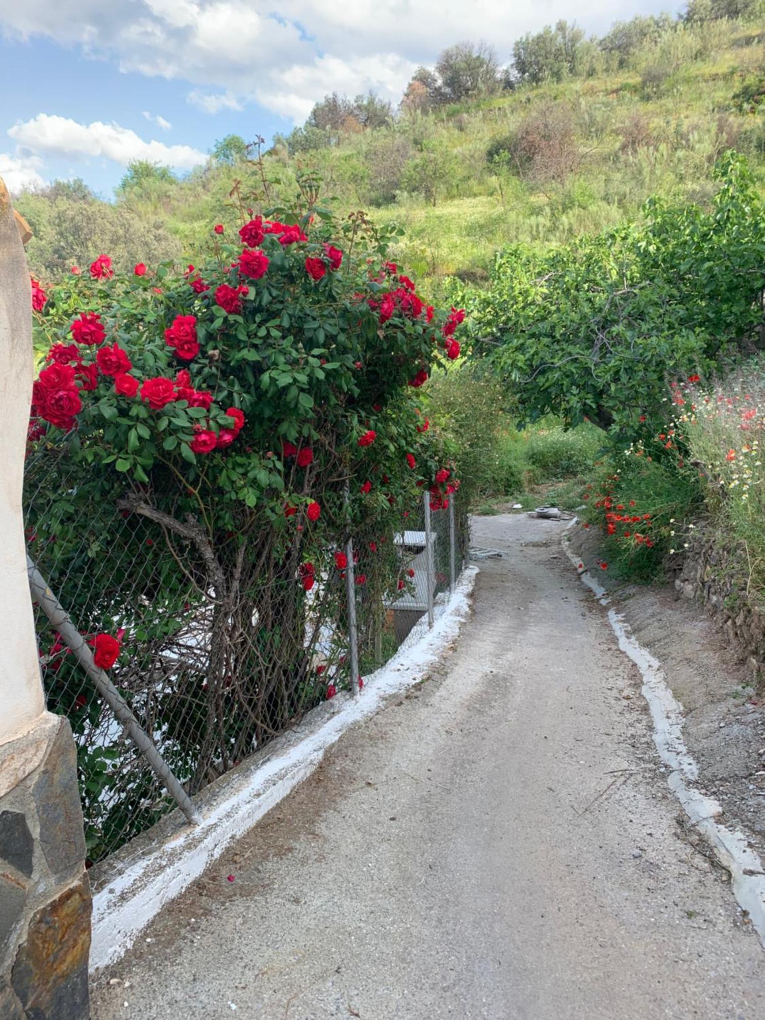 אפרטהוטל Alcudia de Monteagud Fuente Del Hierro מראה חיצוני תמונה